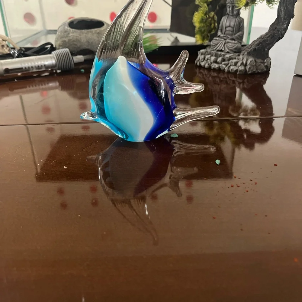 Glass Fish Tank with Accessories